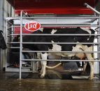 Lely's live robotic milking and zero grazing return to the Ploughing