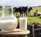 Two years’ notice on five-year Glanbia milk supply agreements 
