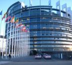 MEPs oppose authorising new genetically modified maize