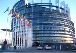 MEPs oppose authorising new genetically modified maize