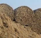Fodder warning still in place