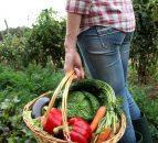 'Export markets key for organic farmers'