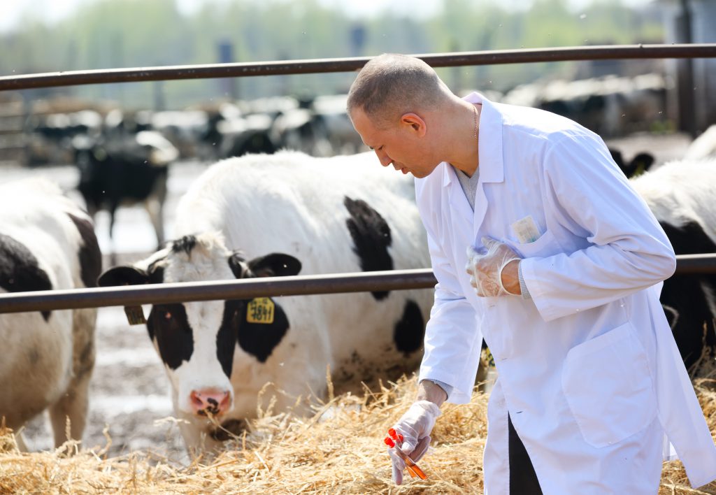 antimicrobial action plan
