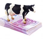 Extended opening hours to return Single Farm Payment applications 