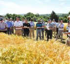 This year's seed crops 
