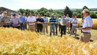This year’s seed crops “may exceed expectations”