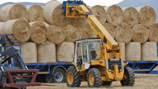 Bad weather hurting farmers