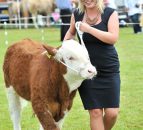 Official Brucellosis-free status in sight for Northern Ireland