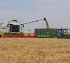 Cereal crops and potato production estimated to fall in the North this year