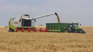 AHDB: Cereals supply and demand estimates for 2024/2025