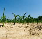 Climage change: 'Farmers deserve our support, not our criticism'