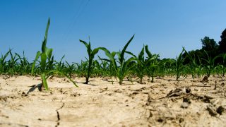 80% risk of ‘mega drought’ happening in the US study finds