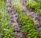 Ireland braced for more heavy rain