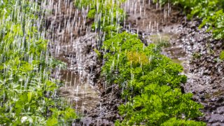 Ireland braced for more heavy rain