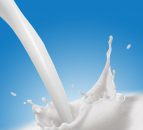 US milk production up 1.7% in February