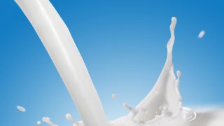 US milk production up 1.7% in February