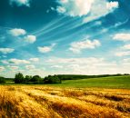 First Rural Development plans approved by EU