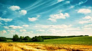 Defra seeks ‘environmentally-sound’ farming in new strategy
