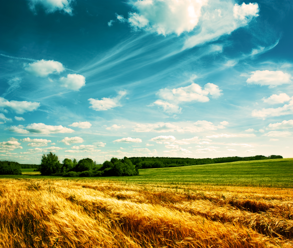 rural development tillage, AHDB, Brexit farm bucket list