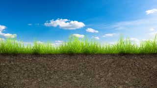 Soil testing shows value