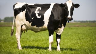 Dairy Farmers warned of boom and bust