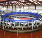 Positive outlook for dairy farming in Europe, new report says
