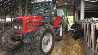 10 tips when buying feed