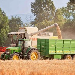 Tillage Harvest