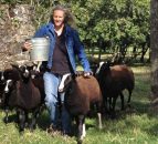 This week's farmer of the tweet Zwartbles Ireland