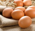 Update to free-range egg labelling amid bird flu housing order