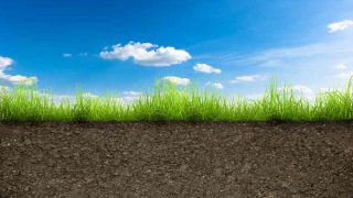 11 per cent increase in potato crops in Northern Ireland