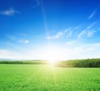 'Maximising grass growth and use is top priority'