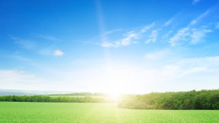 ‘Maximising grass growth and use is top priority’