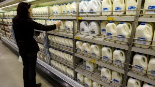 UK fresh milk merger may lead to further restructure – DairyCo