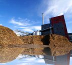 Ireland's energy crops at a cross-roads