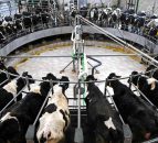 GIIL rolls out on-farm sustainability plan to its 4,300 milk suppliers 