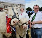 All things Tullamore Show