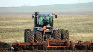 Ukrainian wheat production could fall by a third in 2016