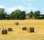 Haulage of fodder to be exempt in new height limits 