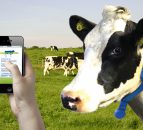 Dairymaster signs new partnership deal with German CRI Genetics GmbH 