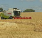 Crop profit think-in today amid fallen grain prices