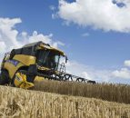 Winter wheat varieties 2014