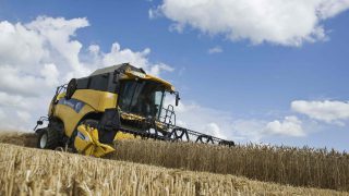UK set to record fourth biggest wheat harvest on record