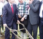 Follow the Leader, Enda ploughs on