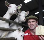 This Week’s Farmer of the Tweet: Michael Finnegan
