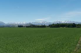 Kiwi farmers want rain as Indian summer continues