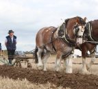 Ploughing through the years