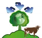 Question the direction of beef production at Global 500
