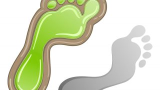 Webinar discusses how farming carbon can be the new ‘crop’ for land managers