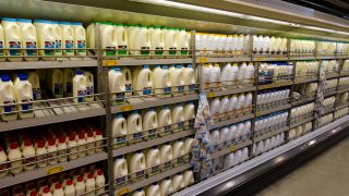 What Ireland can learn from Fonterra